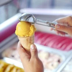 Hendi Eislöffel Stöckel Ø 49 Mm 12 Hendi Eislöffel Stöckel Ø 49 Mm -Hendi Profi Küchen Verkaufsgeschäft efae368e b703 464e 86e6 8e83228a0765